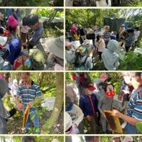 蜜蜂的家：品蜜蜂業