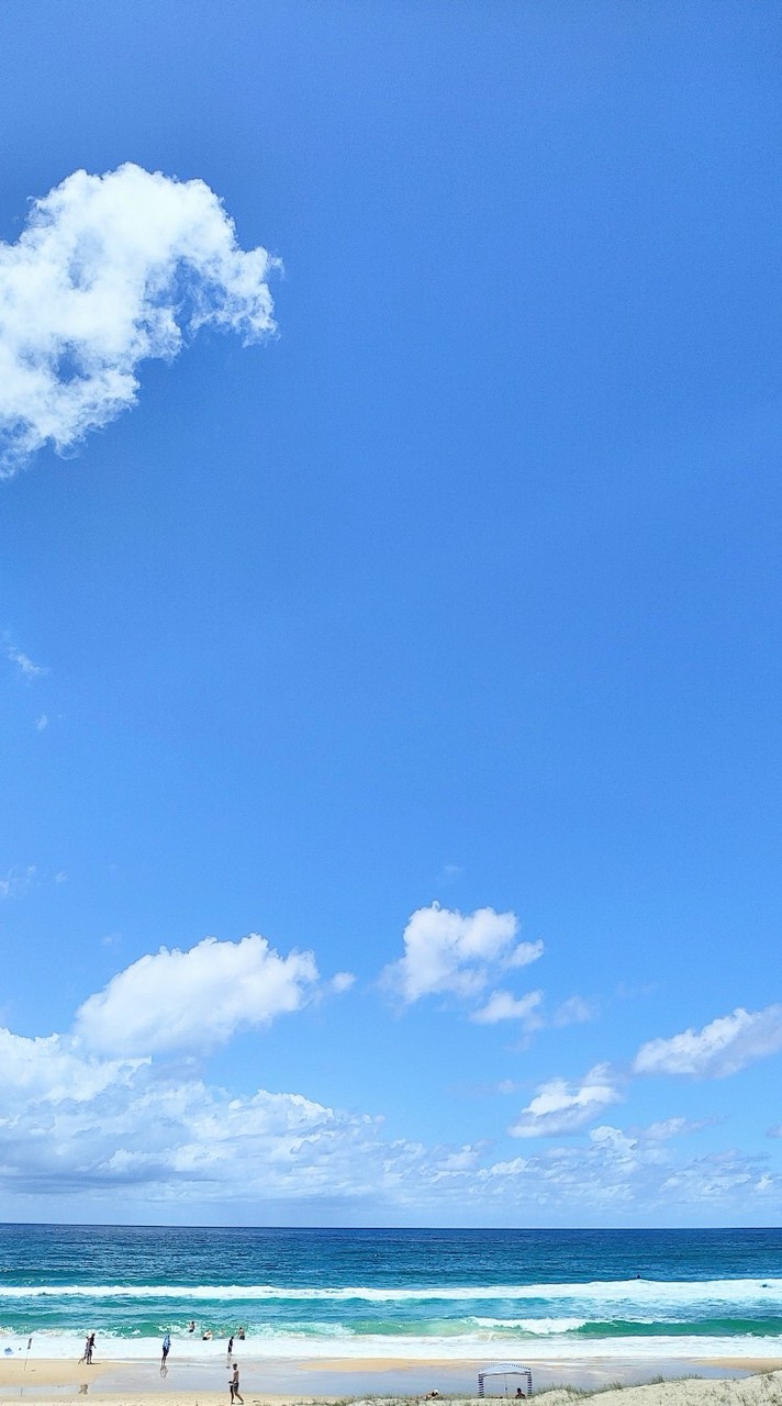美西太太電動車同樂會