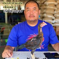 ช.สองชล พม่าเหล่ามังกร