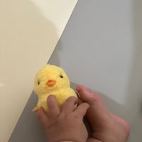 QQ小舖