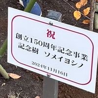真岡市立西田井小学校PTA