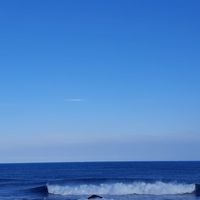 崇光社大空靈鼓
