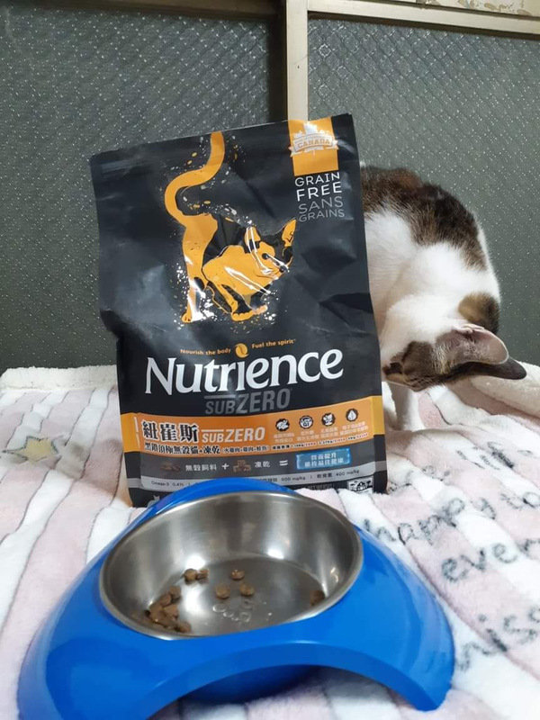 貓飼料推薦-貓奴必備紐崔斯Nutrience 頂級無穀飼料 凍乾系列 成貓無穀 火雞肉+雞肉+鮭魚 2.27kg 開箱分享