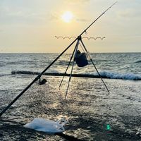 （中部、北部、南部）釣魚聊天交流區🎣