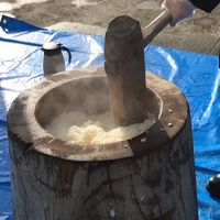 宇都宮大学_四季研究会 雅 2025 新歓
