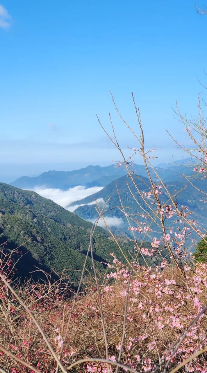 良鑫智選好物購