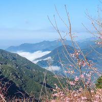 良鑫智選好物購