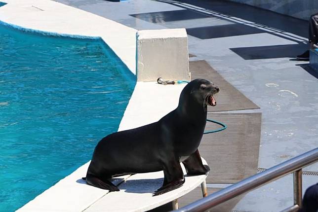 照片來源：IG @frank_chiang1