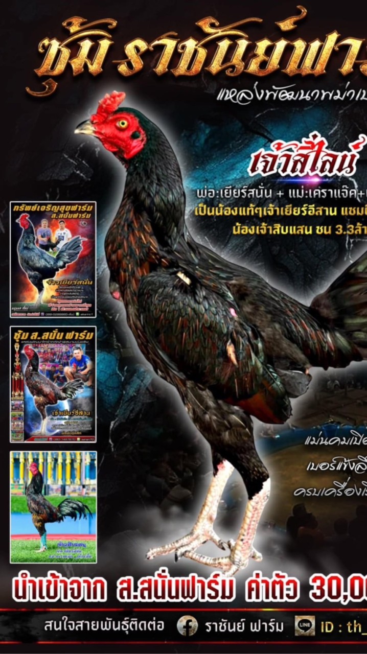 ซุ้ม ราชันย์ฟาร์ม
