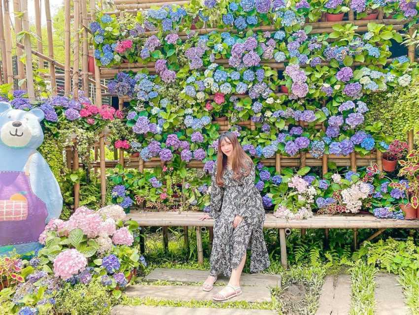 薰衣草森林 薰衣草森林｜新竹景點 | 夢幻紫色薰衣草來襲！地中海愛情鐘樓/薰衣草花園/希望之丘《情侶約會景點、親子景點》 8 2023