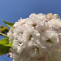 🍀シングル同士50代～70代将来を考えていくお部屋🍀