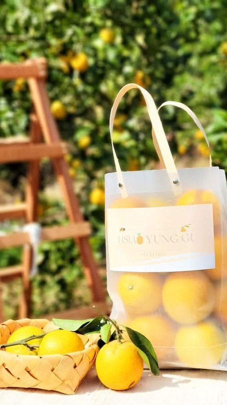 🍊蕭永固果園🍊