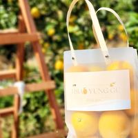 🍊蕭永固果園🍊