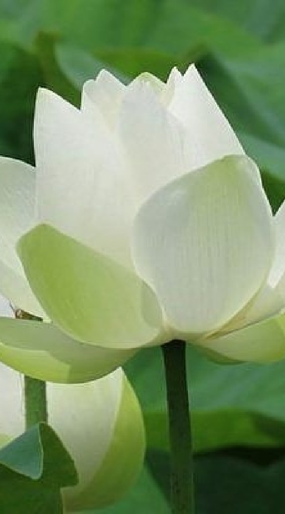 👩👼想做善事嗎？把這邊版主分享的文章看後，將您認同的文章分享出去給你的親朋好友老闆同事🤝🙏