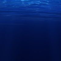 深海で想像！！