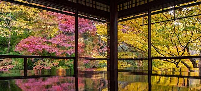 日本人氣賞楓景點之京都琉璃光院夢幻紅葉倒影名景的秘密 Japankuru日本酷樂 Line Today