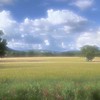 儚いについて学ぶ