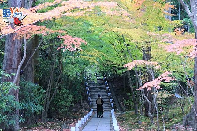 日本宮城松島之月早懸於心 松尾芭蕉奧之細道賞秋楓 @去旅行新聞網