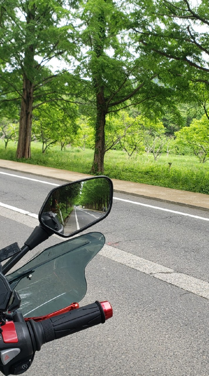 【滋賀】ツーリングクラブ🏍のオープンチャット