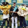 台鋼雄鷹鋼鐵鷹迷後援會