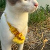 เฮงเฮงเฮง