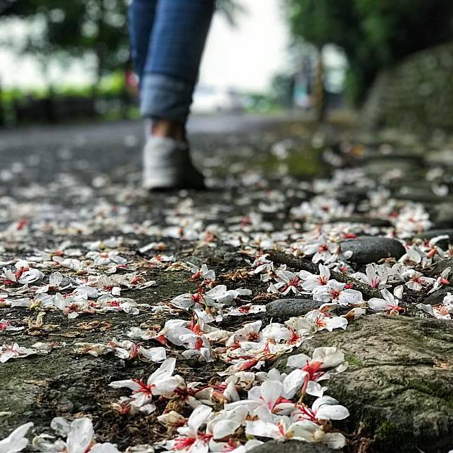 圖片授權：IG @ d_z_y_