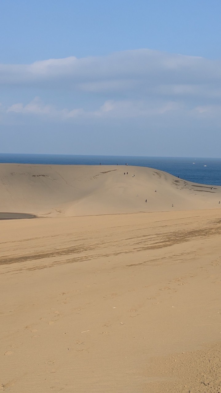 ３月2 日スタート スリムマラソン鳥取