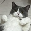 來聊天天天天天><