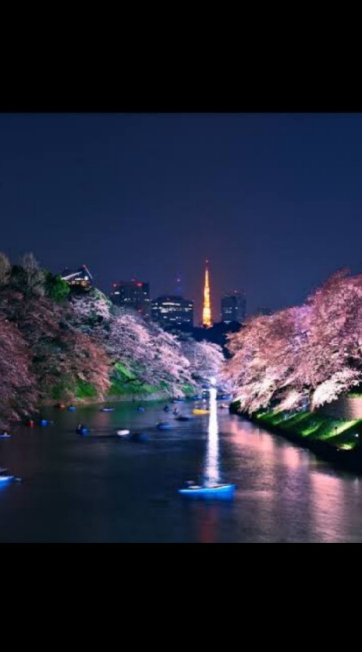 琉星対荒らし荒らし同盟連合🌙*ﾟのオープンチャット