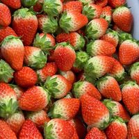 Korean Strawberry 🍓 เกรดพรีเมี่ยมพร้อมส่ง