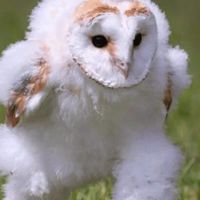 wotbやってる人集まれ！