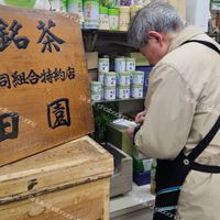 Matcha in japan by ploy🍵