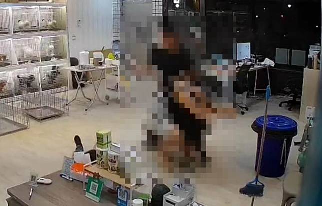 彰化,員林,寵物店,斷手。（圖／翻攝畫面）