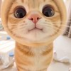 我愛聊聊聊天