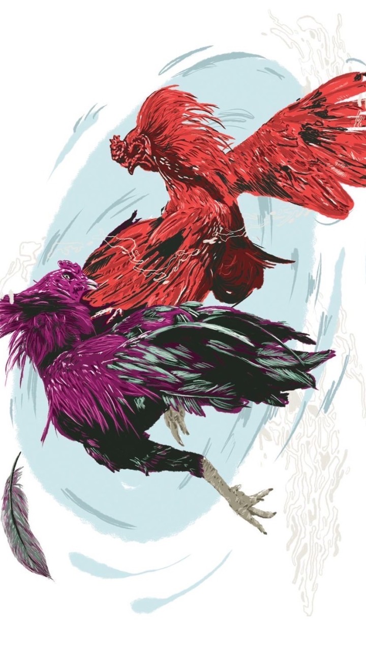 ยอดไก่ชน V1