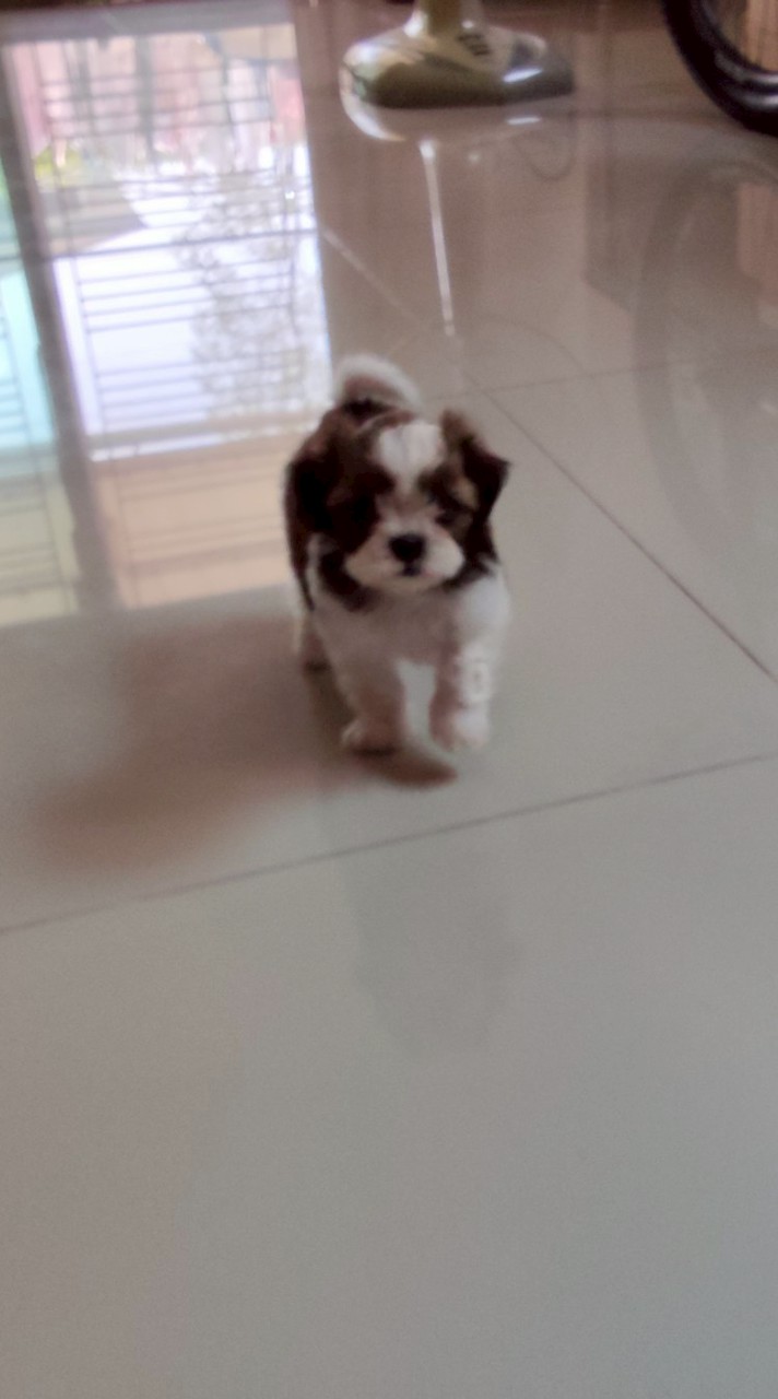 ไอรีนนะคาบ🧴