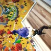 Fortnite天空城、安置外耐久研究班🐡