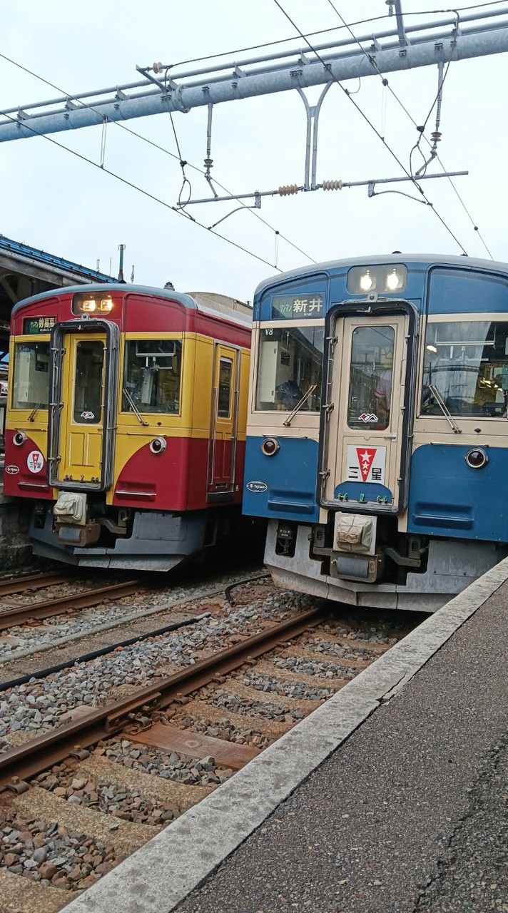 [TKG/設立1周年記念‼️]目指せ50人！鉄道・バス好きと動物OP　※雑談も可[HKTSI・KSZ]