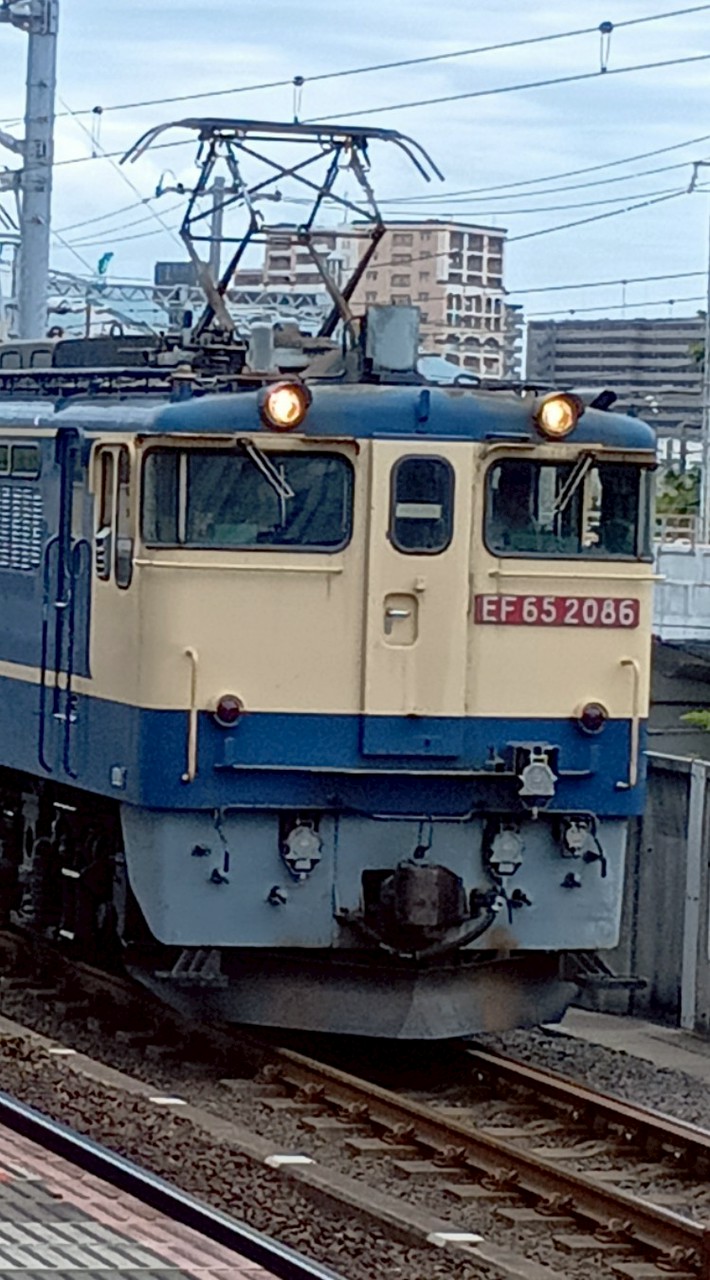 [TKG]鉄道とバス好きな人集まれ‼️※雑談も可 [KSZ][HKTSI]