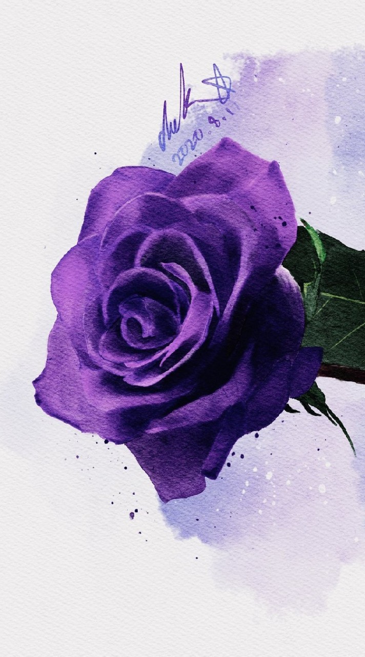 無期迷途💜紫玫瑰🌹