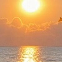 二手雜貨鋪