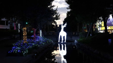 台中景點『綠川水岸』散步的好地方.聖誕節夢幻白鹿登場