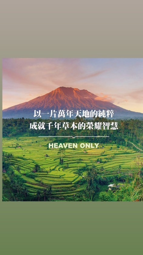宥董菁英特戰營本部回報群