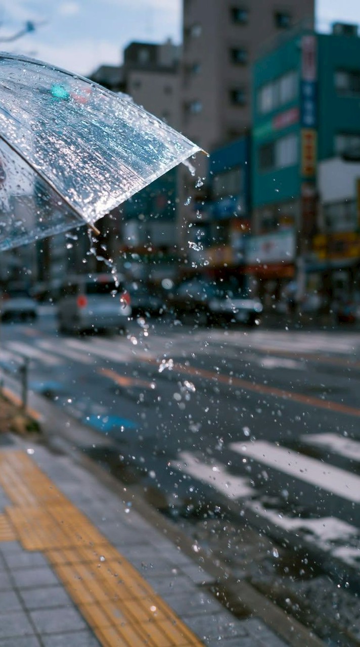 聽雨閣