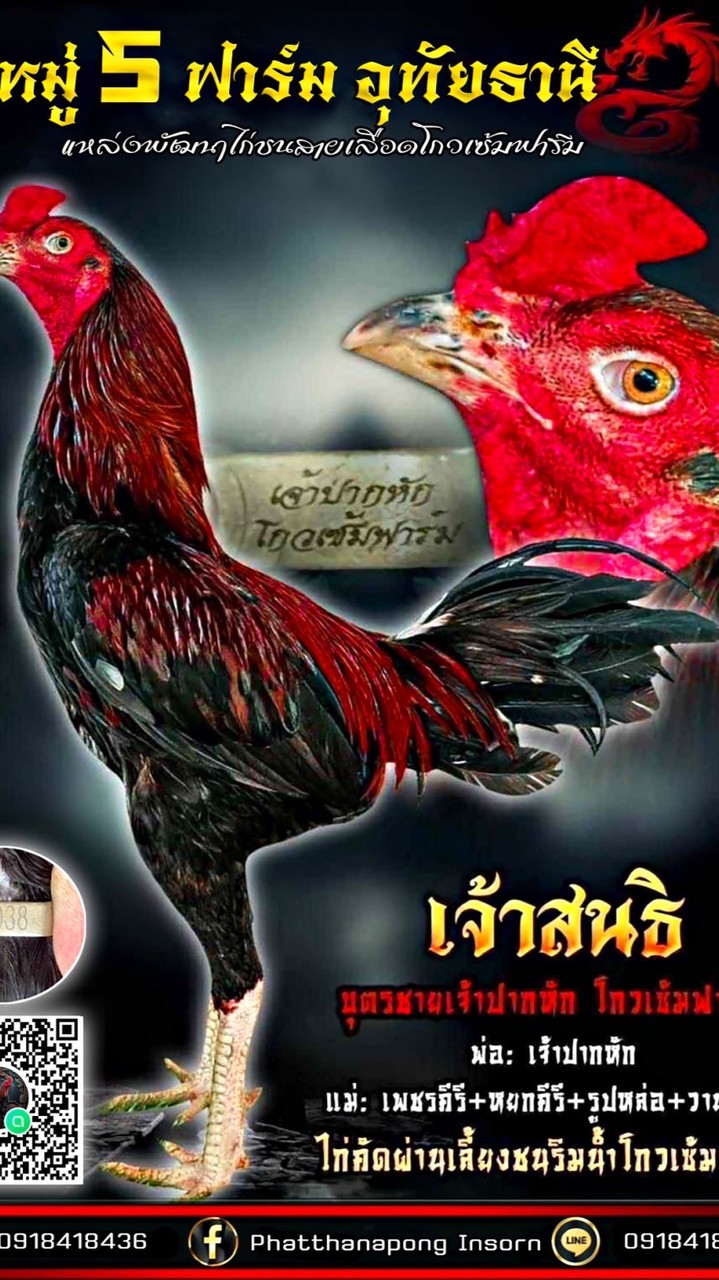 9หมู่5 ฟาร์ม อุทัยธานี🐲💯
