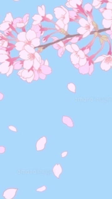 20代30代40代50代60代🌸癒し部屋