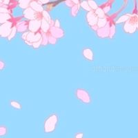 20代30代40代50代60代🌸癒し部屋