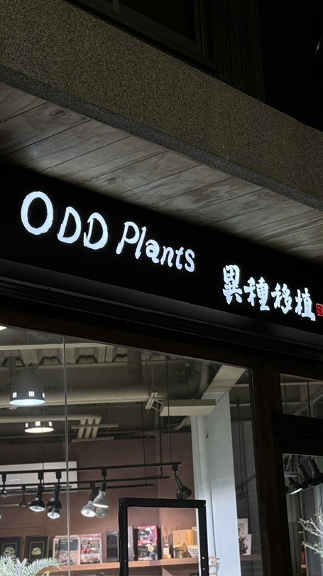 ODD PLANTS 異種移植 塊根植物線上購物🪲