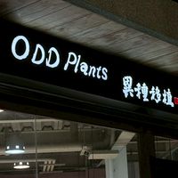 ODD PLANTS 異種移植 塊根植物線上購物🪲
