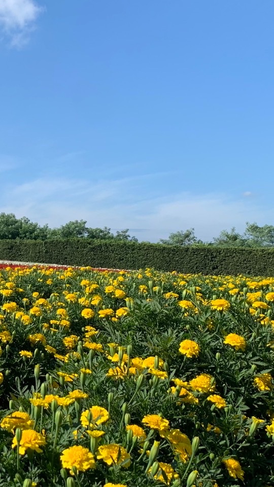 《旅行》プロと旅行計画しよう！